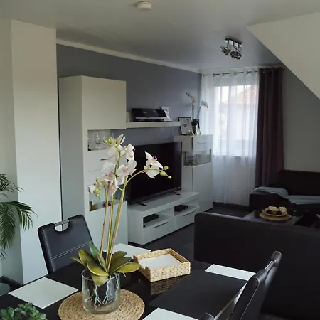 Апартаменты La Domus Premium Lotte